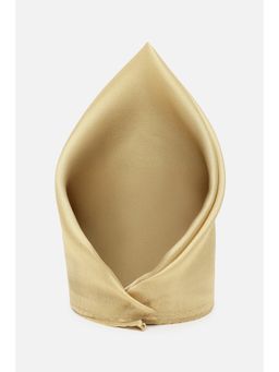 Peter England - Men Beige Solid Party Pocket Square
