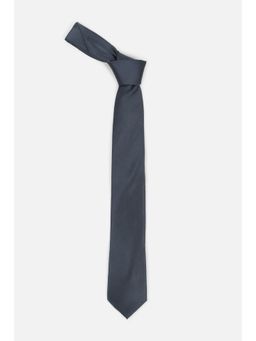 Van Heusen - Men Grey Embroidered Formal Tie