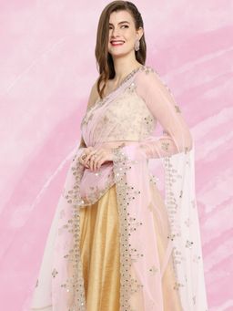 Dupatta Bazaar - Women's Embroidered & Embellished Pink Net Dupatta