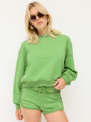 Green color option, Currently selected