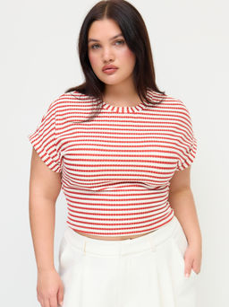 Cider - Stripe Knotted Crop Top Curve & Plus