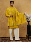 Mustard color option, Currently selected