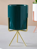 Green color option, Sold out, Currently selected