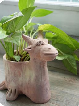 Swadeh - Mini Antler Floor Planter