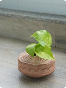 Swadeh - Terra Tray Table Top
