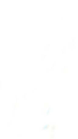 Delize - Tan Solid Women's Knee Boots