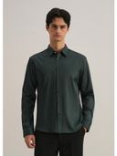 Green color option, Currently selected