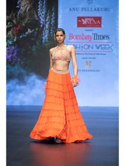 Anu Pellakuru - Orange Ramhi Embroidered Lehenga with Blouse (Set of 2)