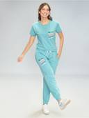 Aqua color option, Currently selected