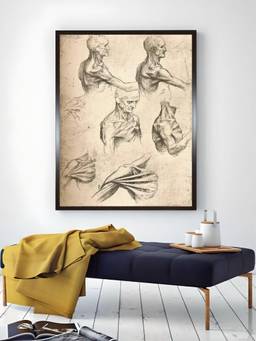 The Art House - Anatomical Drawing Framed Wall Art Painting