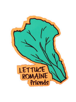 Eco Corner - Lettuce Magnet