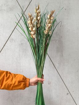 Coastal Habitat - Sage Dried Bunch