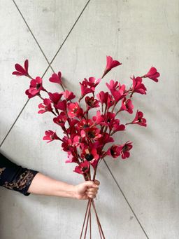 Coastal Habitat - Red Handmade Flower Stems (Pack of 5)