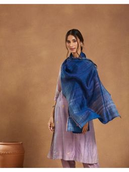 Fabindia - Navy Silk Hand Woven Stole