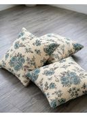 Aqua color option, Currently selected