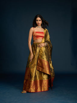 Gajra Gang - Olive Tissue Semi-Stitched Lehenga, Unstitched Blouse & Dupatta Diwalicious