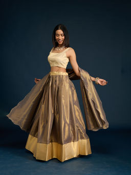 Gajra Gang - Grey Shimmer Tissue Brocade Semi-Stitched Lehenga, Unstitched Blouse & Dupatta Diwalicious