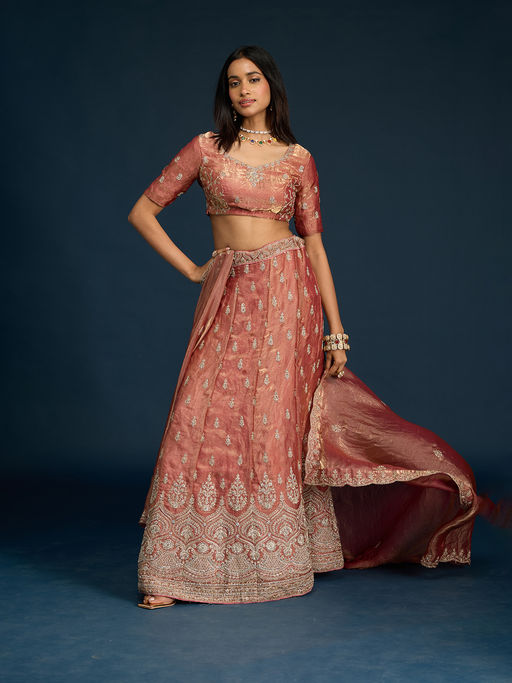Gajra Gang Brown Tissue Embroidered Semi-Stitched Lehenga, Unstitched Blouse & Dupatta Diwalicious