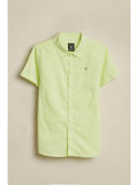 Green color option, Currently selected