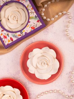 THE ZAPPY BOX - Flower Diffuser