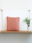 Coral color option, Currently selected