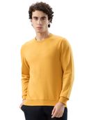 Yellow color option, Currently selected