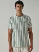 Green color option, Currently selected