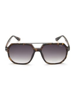 IDEE - IDS2985C2SG - UV Protected Gradient Sunglasses for Men (56)