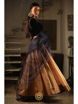 Rhua India - Navy Blue Deep Blue Lehenga with Blouse and Dupatta (Set of 3)