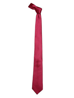 Alvaro Castagnino - Mens Necktie
