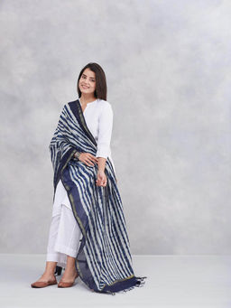 Fabindia - Women Navy Blue Cotton Silk Blend Dupatta