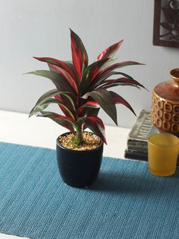 Fourwalls - Artificial Dracaena Bonsai Plant With A Ceramic Pot