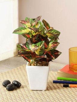 Fourwalls - Artificial Wandering Plant With Ceramic Pot