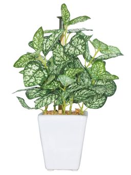 Fourwalls - Artificial Wandering Plant With Ceramic Pot