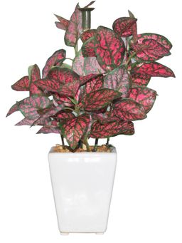 Fourwalls - Artificial Wandering Plant With Ceramic Pot