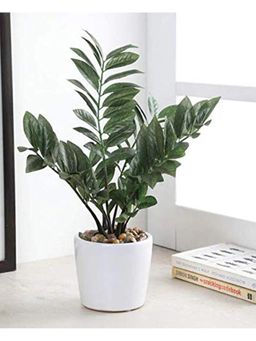 Fourwalls - Artificial Araceae Plant With Ceramic Pot