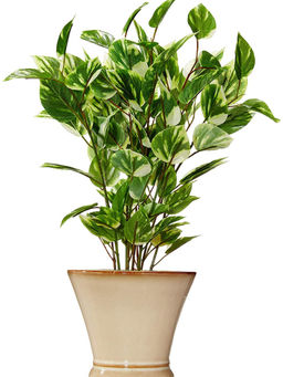 Fourwalls - Artificial Pothos Plant In A Ceramic Pot