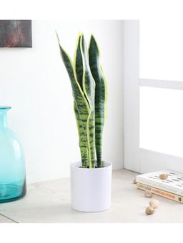Fourwalls - Artificial Sansevieria Snake Plant In A Plastic Pot