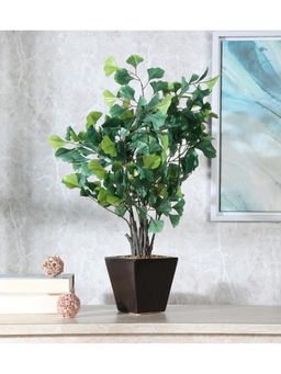 Fourwalls - Artificial Gingko Plant In A Ceramic Pot