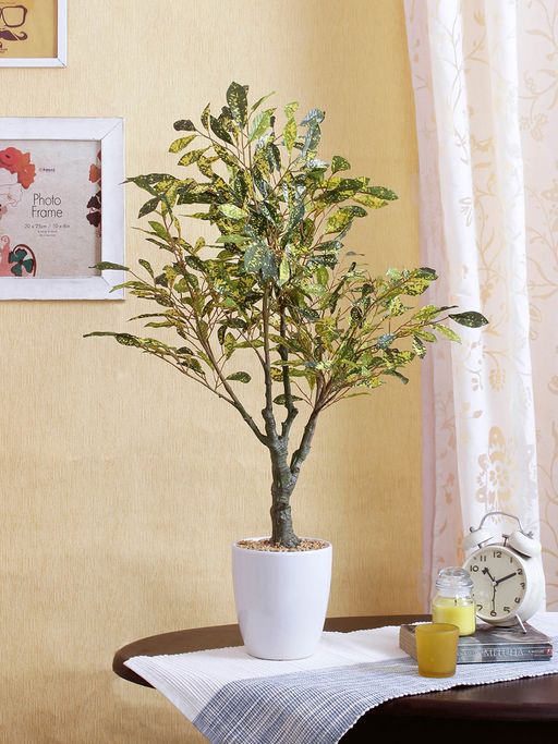 Buy Fourwalls Artificial Croton Bonsai Plant In A Ceramic Pot Online