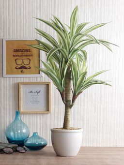 Fourwalls - Artificial Dracaena Bonsai Plant In A Ceramic Pot