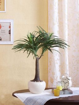 Fourwalls - Artificial Nolina Bonsai Plant With A Ceramic Pot