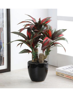 Fourwalls - Artificial Dracaena Bonsai Plant In A Ceramic Vase For Home Decor