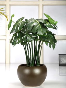 Fourwalls - Artificial Philodendron Bonsai Plant In A Ceramic Vase 37 Cm Tall