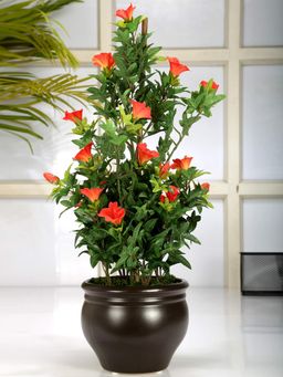 Fourwalls - Artificial Morning Glory Bonsai Plant In A Ceramic Vase 50 Cm Tall