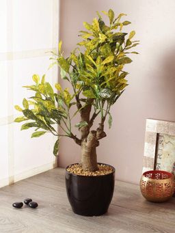 Fourwalls - Artificial Croton Plant In A Ceramic Vase For Home Decor 54 Cm Tall