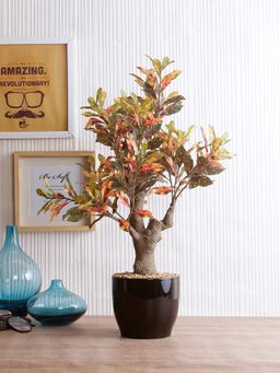 Fourwalls - Artificial Croton Plant In A Ceramic Vase For Home Decor 54 Cm Tall