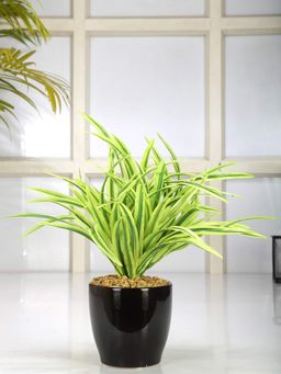 Fourwalls - Artificial Dracaena Plant In A Ceramic Pot For Home Decor 27 Cm Tall