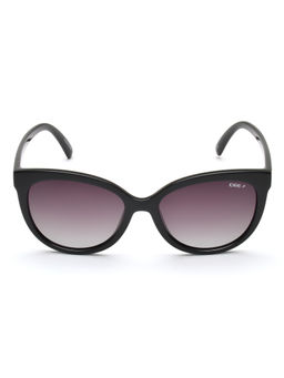 IDEE - Brown S2576 C1P 55 Round Frame Style Sunglasses_IDS2576C1PSG