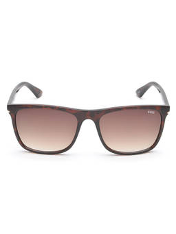 IDEE - Brown S2669R C2 57 Square Frame Style Sunglasses_IDS2669RC2SG